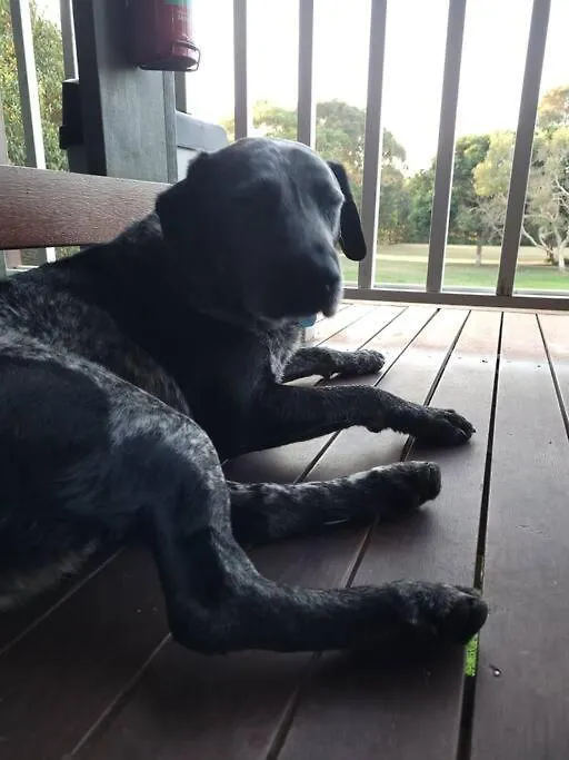 A Place To Relax Mudjimba